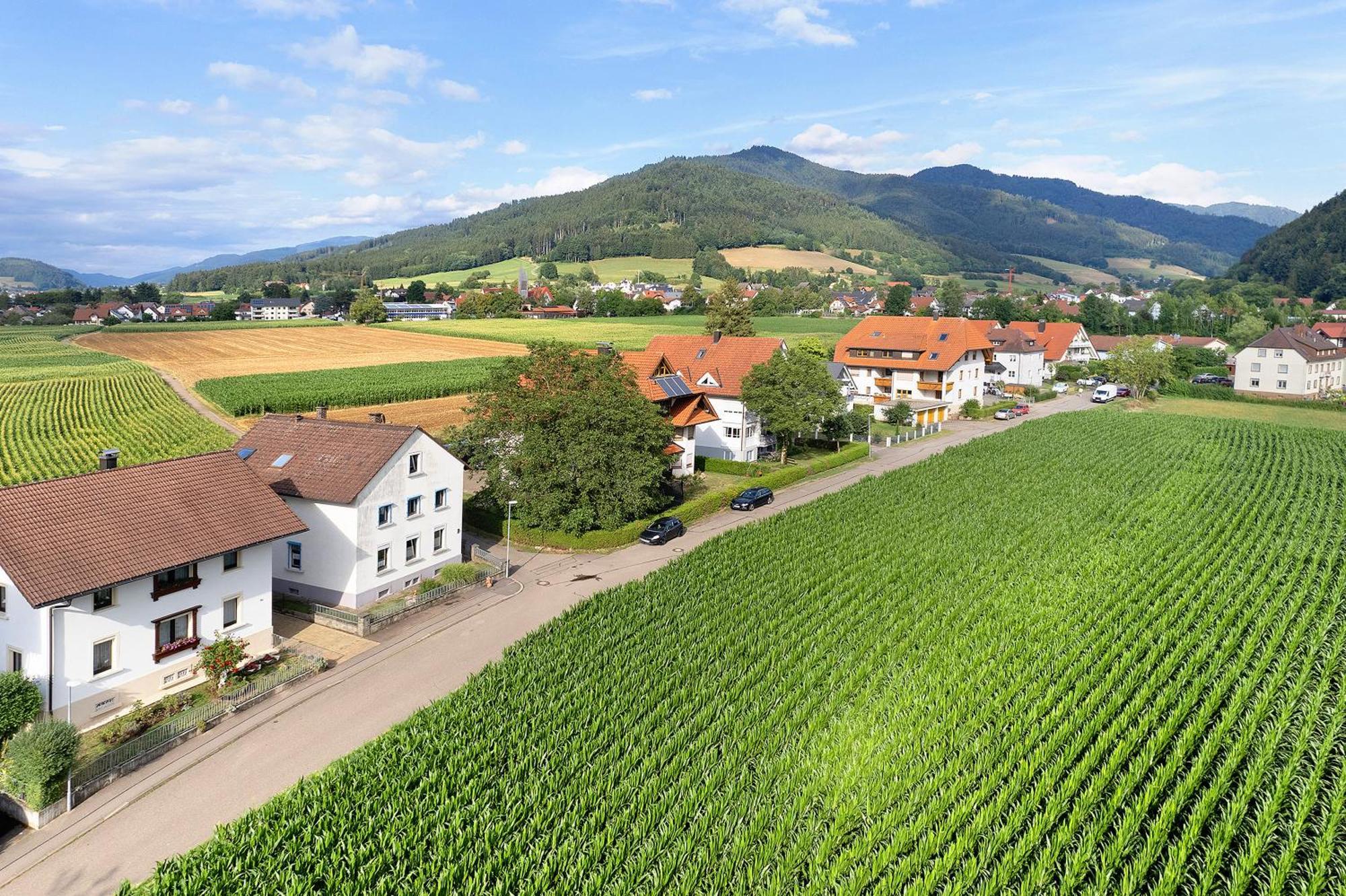Ferienwohnung Emma Gutach im Breisgau Extérieur photo